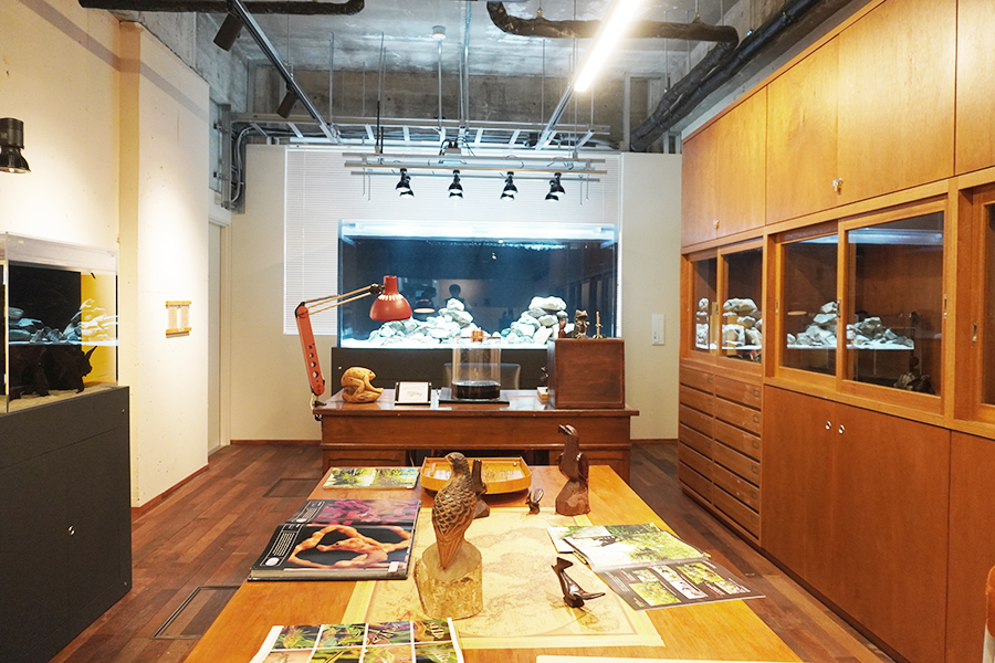 「みなとやま水族館」の1室、理科室の棚は再利用しているという