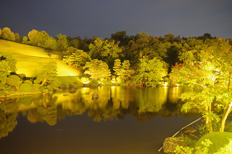 日本庭園「心字池」（有料エリア）では、ゆっくりとした時の流れや、夏の夜の涼を感じられる