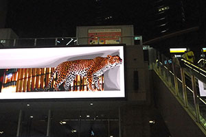 ＪＲ大阪駅に巨大ヒョウが！ 飛び出す３Ｄ広告に通行人驚き