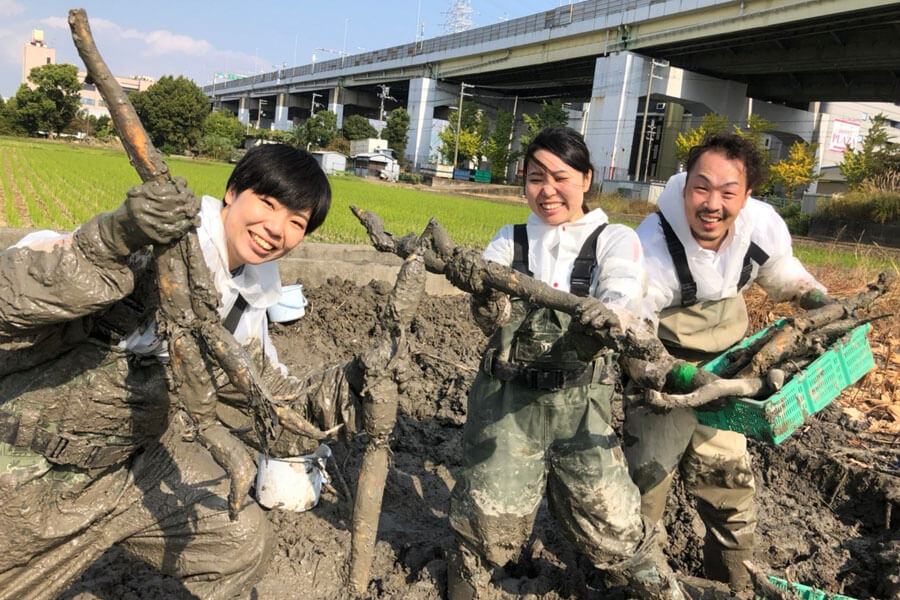自分の手で掘ってみませんか、夢中になれる『蓮根掘り体験』