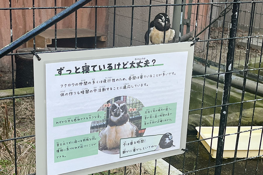 それぞれの性格などがわかりやすい「天王寺動物園」の紹介看板。関西弁にも親しみを感じる