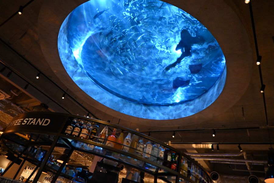 店内中央のバーカウンター天井には、2階アクアリウムの巨大水槽が見え、魚たちがゆらゆら泳ぐ幻想的な雰囲気が魅力、「TOOTH TOOTH MART FOOD HALL&NIGHT FES」