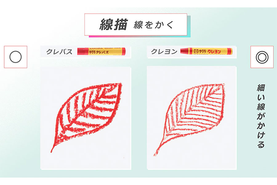 線を書いた時の違い。クレヨンはクレパスに比べて硬いので細い線を描く時にはクレヨンが向いている