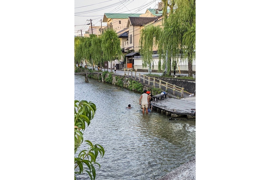 ガンジス川」状態だった昨夏の「白川」(画像提供:花街ぞめき、正脇良平 Ryohei Masawakiさん)