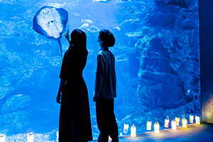 京都水族館で夏イベント「夜のすいぞくかん」、妖怪通りが出現