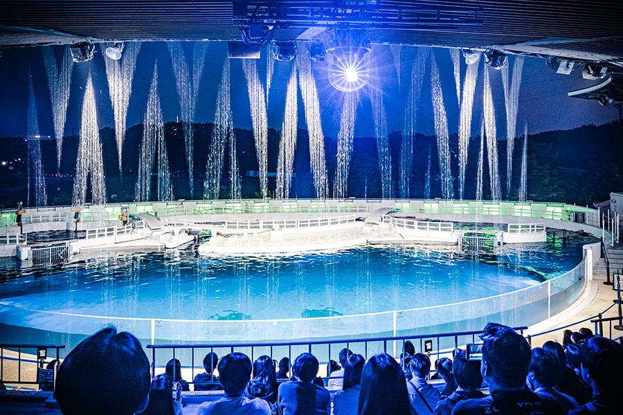 19時15分と19時30分の2回、「イルカスタジアム」にて水と光と音が織りなす空間アート「ウォーターカーテン」を上演