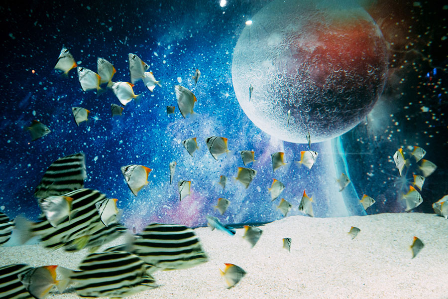 プラネットアクア・ポート 〜UNDER WATER SPACE〜(イメージ画像)