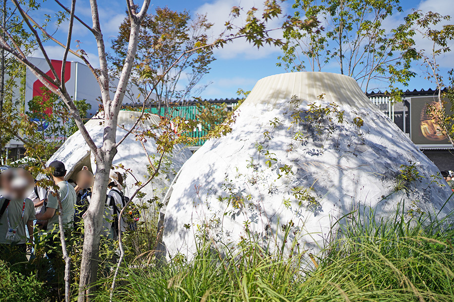 休憩所「森になる建築」の表面から植物が生えてきた様子(10月13日/Lmaga.jp撮影)