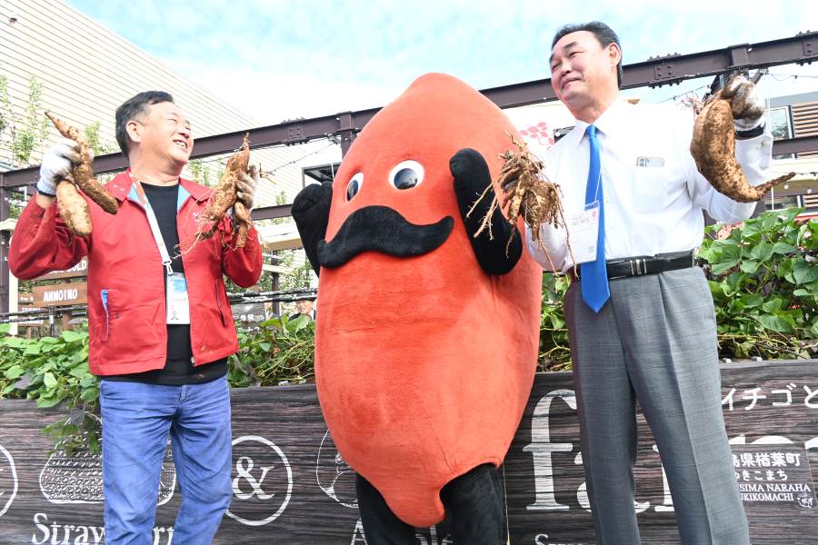 (撮影:10月10日:大阪・関西万博)