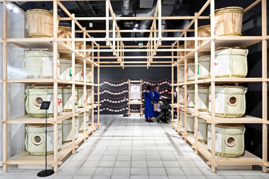 2050年まで保存される梅干しの樽がずらり(9月26日 大阪・関西万博)