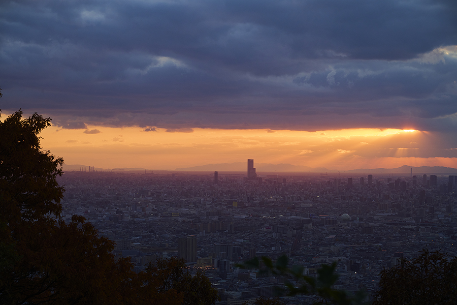 大阪市内を一望することができる飯盛山から見る夕暮れの景色。「『おソトアソび』の達人と飯盛山マジックアワーハイキング」体験では、このような息を呑むほど美しい絶景と出会えることも!