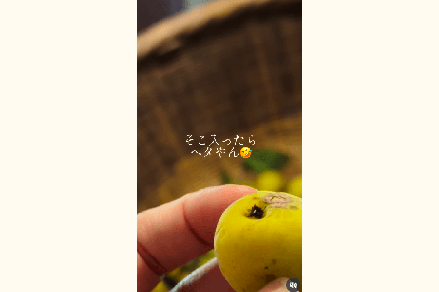 一瞬で梅のヘタにも変身できるところが、またチャーミングで愛おしくなりますね(提供:さとこさん)
