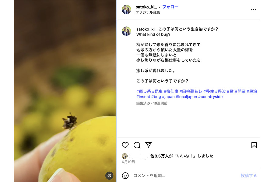 さとこさんによるInstagramへの実際の投稿。8万を超える「いいね」がつくほど注目されました(提供:さとこさん)