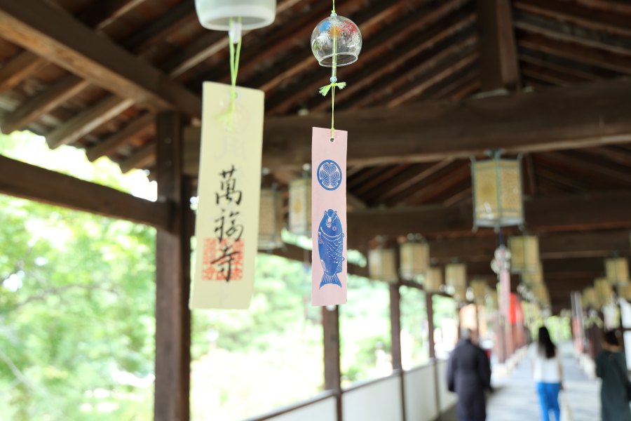 撮影のために貸切ではありません。自然とそうなっただけです…