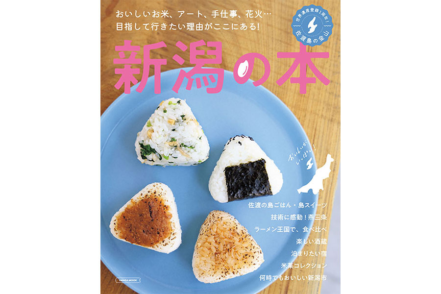 エルマガMOOK『新潟の本』