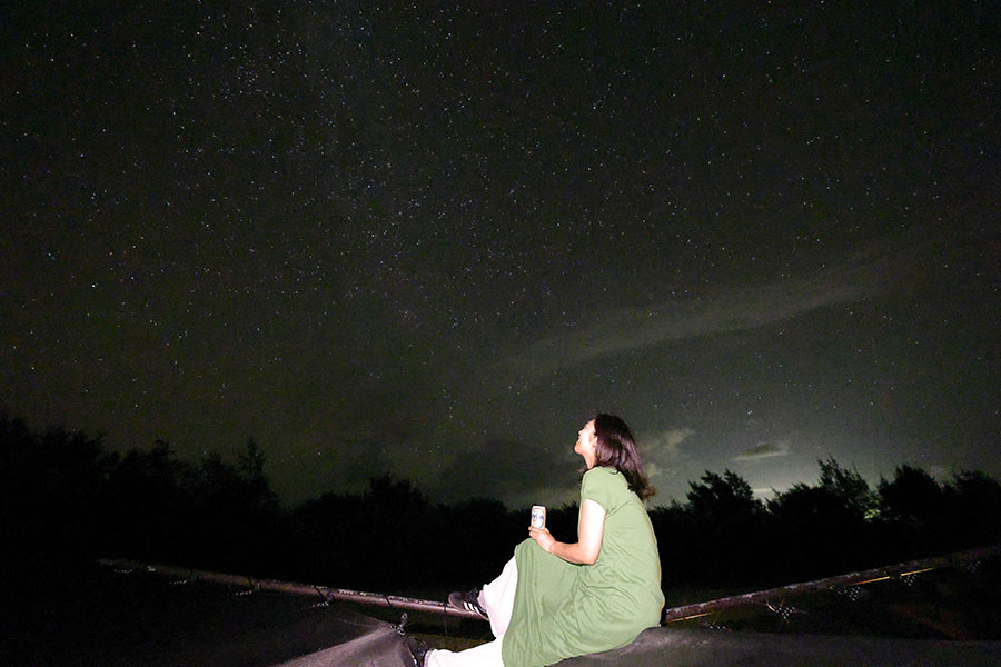 流れ星をこんなにたくさん見たのは人生ではじめて!