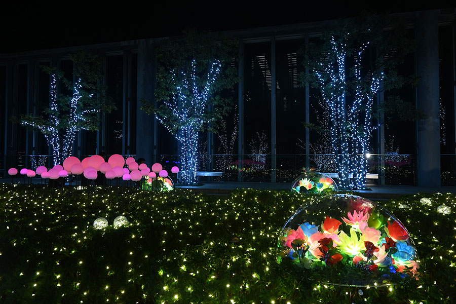 Aぇ! groupの佐野晶哉が点灯させた、「あべのハルカス」16階屋外庭園のイルミネーション