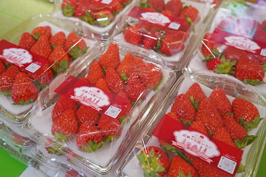 百貨店「あべのハルカス近鉄本店」(大阪市阿倍野区)で販売するいちご「はるかすまいる」(12月17日撮影/Lmaga.jp)