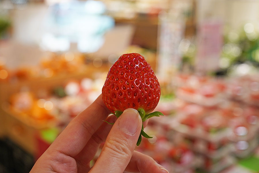 今朝、収穫したばかりの「はるかすまいる」。甘みが強く、ジューシーな味わい(12月17日撮影/Lmaga.jp)