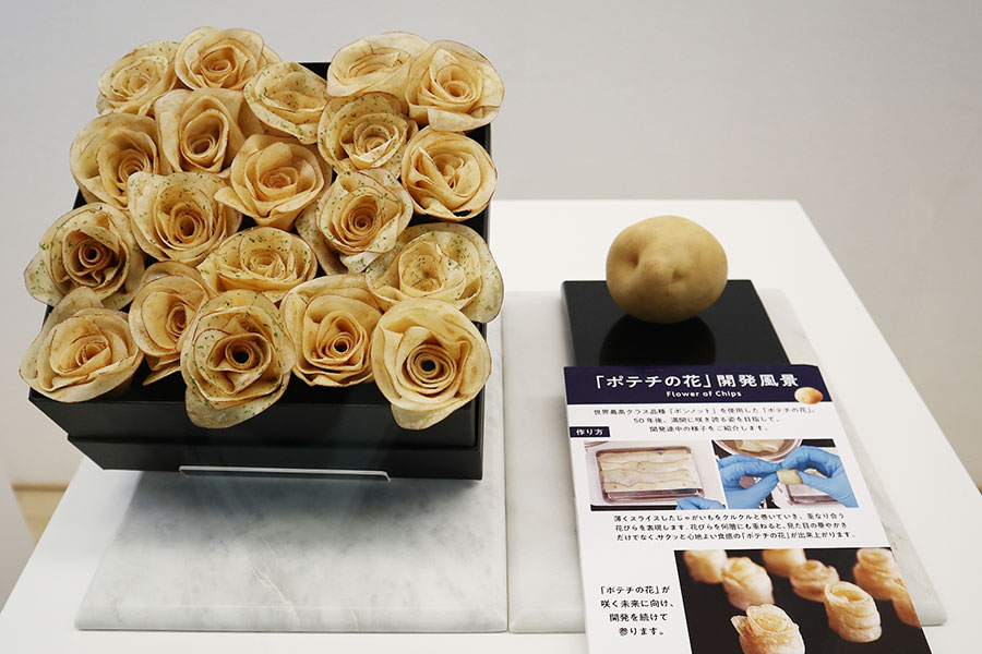「HAPPYゾーン」展示品の一例。「心がときめく『ポテチの花』」(湖池屋)