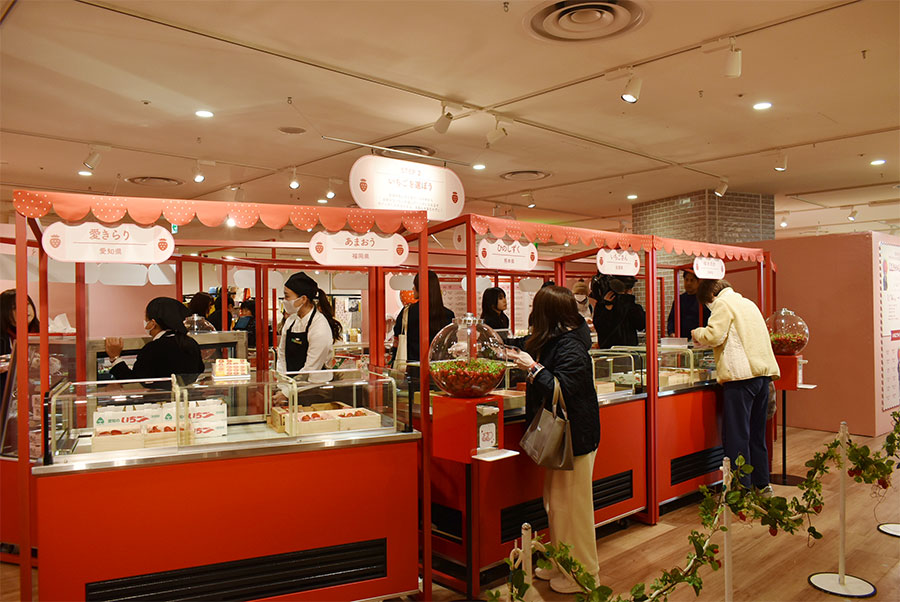 百貨店「阪神梅田本店」(大阪市北区)8階催事場『梅田でいちご狩り』の様子(1月14日撮影/Lmaga.jp)