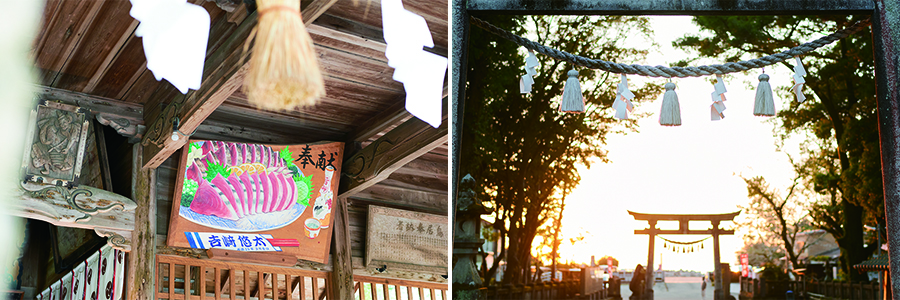 本殿に掲げられる絵馬までカツオ!