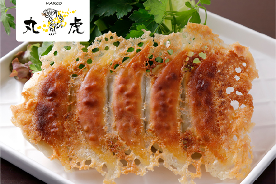 Craft Gyoza Festival