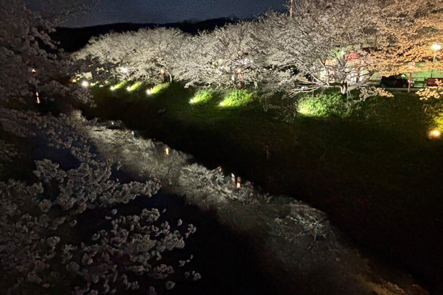 宇陀川桜並木ライトアップ(夜景)