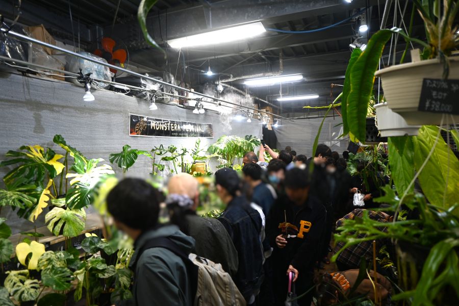 『第26回 花宇宙ドリームガーデン』