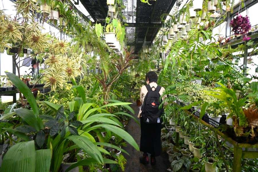 『第26回 花宇宙ドリームガーデン』