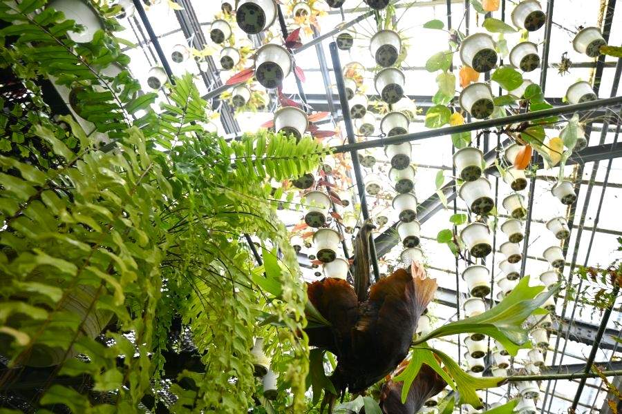 『第26回 花宇宙ドリームガーデン』