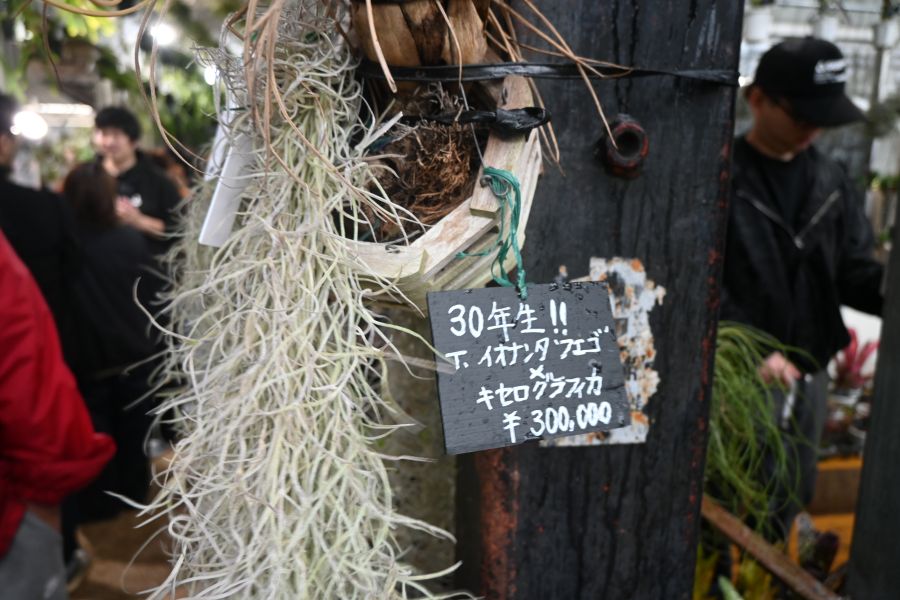 『第26回 花宇宙ドリームガーデン』