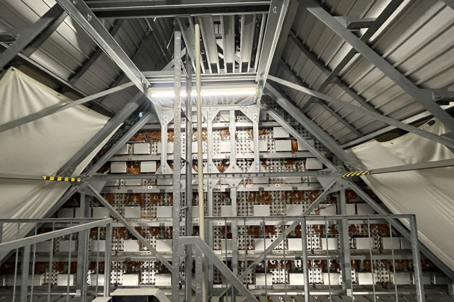 内部の最上階。とがった頭の先端部分にあたる