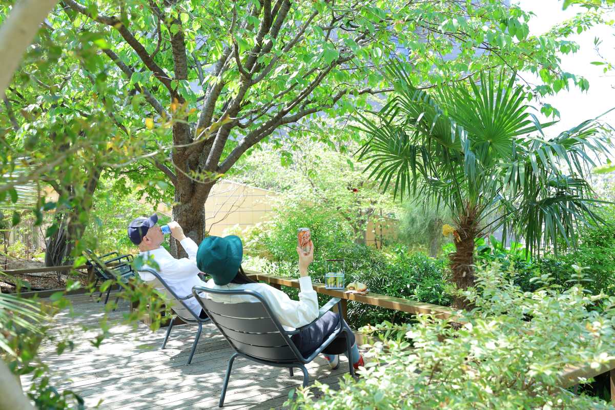 都会で楽しむピクニックの魅力