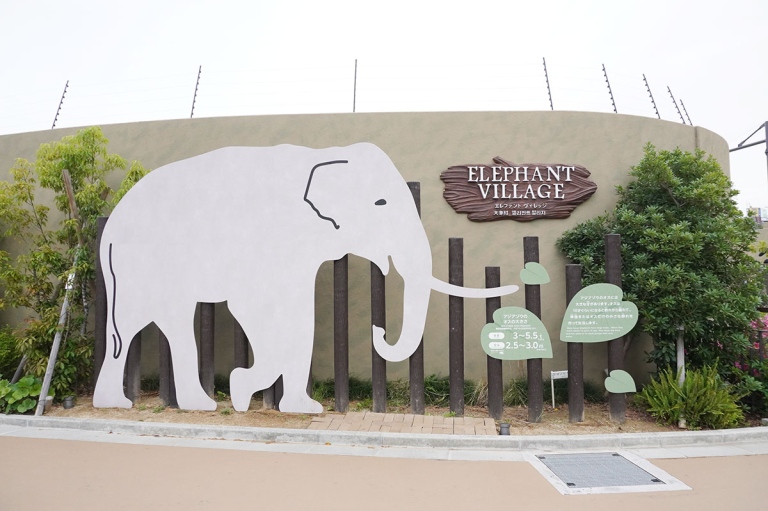 【8年ぶり】天王寺動物園、ゾウの公開がスタート…仲良すぎる3頭の“じゃれ合い”にほっこり | Lmaga.jp