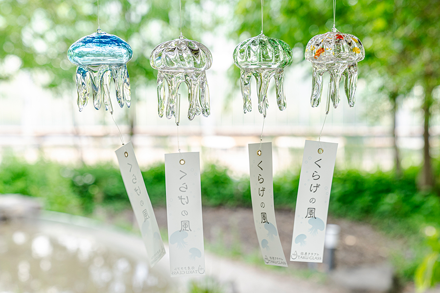 「京都水族館」の夏限定イベント「くらげと傘と風鈴と」で毎年人気のクラゲ風鈴(左からあさぎ色、クリア、新緑、夏みかん)