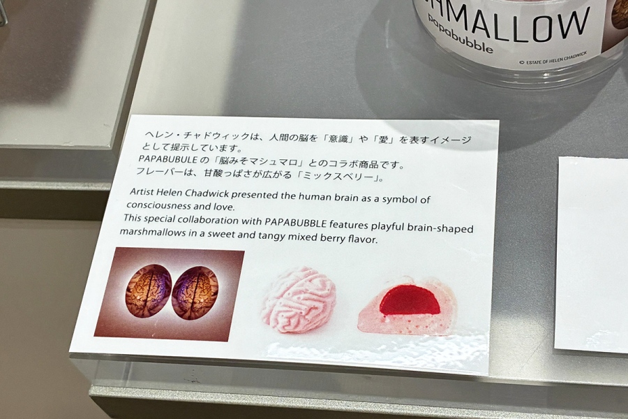 『エロティシズム』(ヘレン・チャドウィック)×キャンディショップ・PAPABUBBLEの「脳みそマシュマロ」(1000円)は中から赤いソースが…