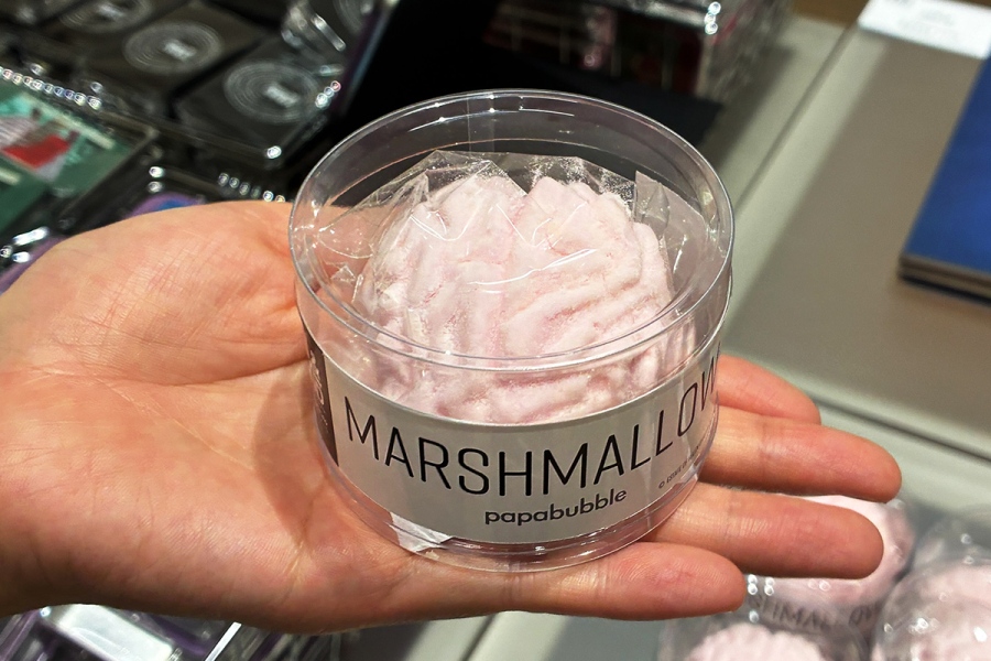 『エロティシズム』(ヘレン・チャドウィック)×キャンディショップ・PAPABUBBLEの「脳みそマシュマロ」(1000円)