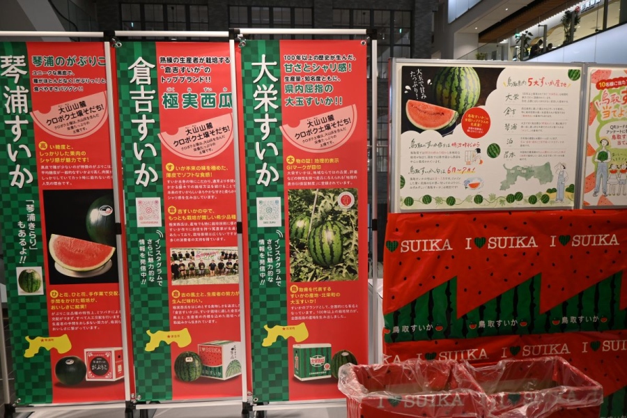 (6月20日 KITTE大阪)