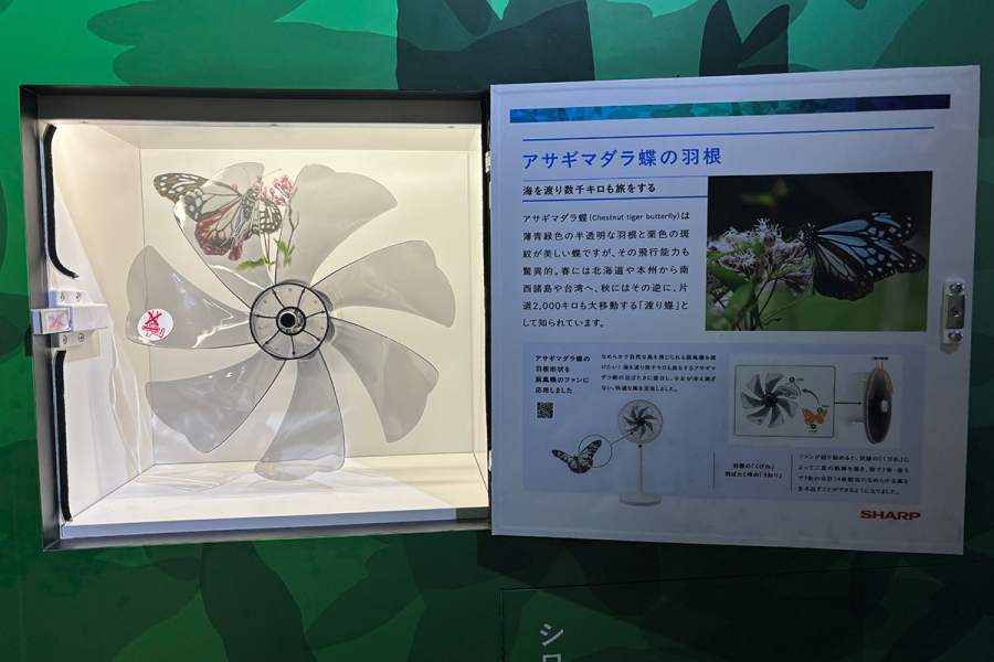 「シャープ」とのコラボ展示「ネイチャーテクノロジー」の展示の一部。アサギマダラ蝶の羽の形状が扇風機に応用されている