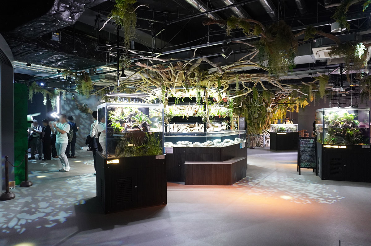 デンキウナギやドクターフィッシュの新展示スタート、神戸の都市型