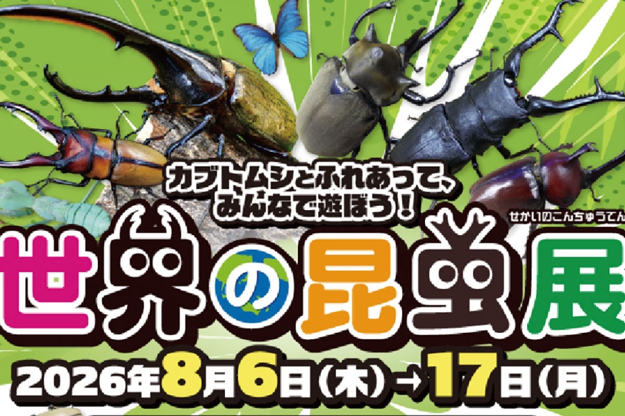 osakaevent2026natsu20260810_5 | Lmaga.jp あべのハルカス近鉄本店『世界の昆虫展』