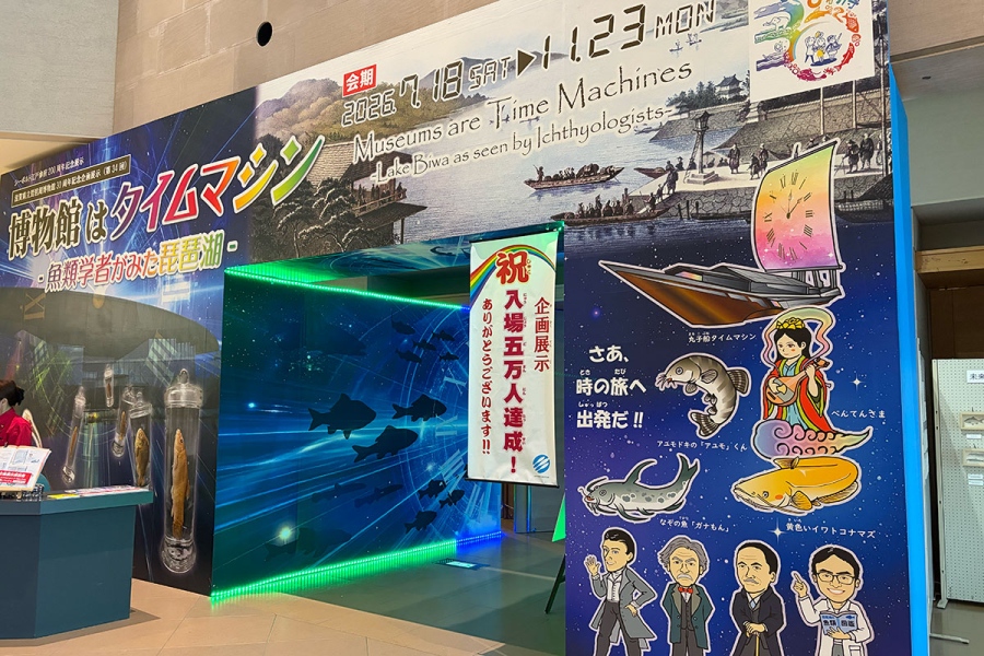 biwakohakubutsukan_ayumodoki12 | Lmaga.jp アユモドキベンチが展示されている企画展示「博物館はタイムマシン-魚類学者がみた琵琶湖-」
