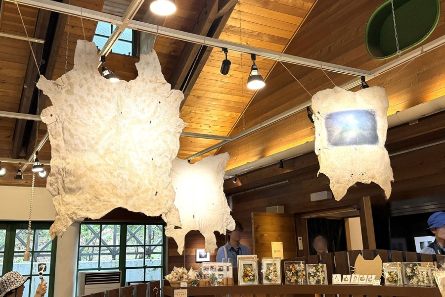 rokkomeetsart202608_12 | Lmaga.jp 『神戸六甲ミーツ・アート2026 beyond』にて、阿部文香《猪は山を嗅ぎ、 人は山を語る。そして 山は私たちを見る。》(ミュージアムエリア)