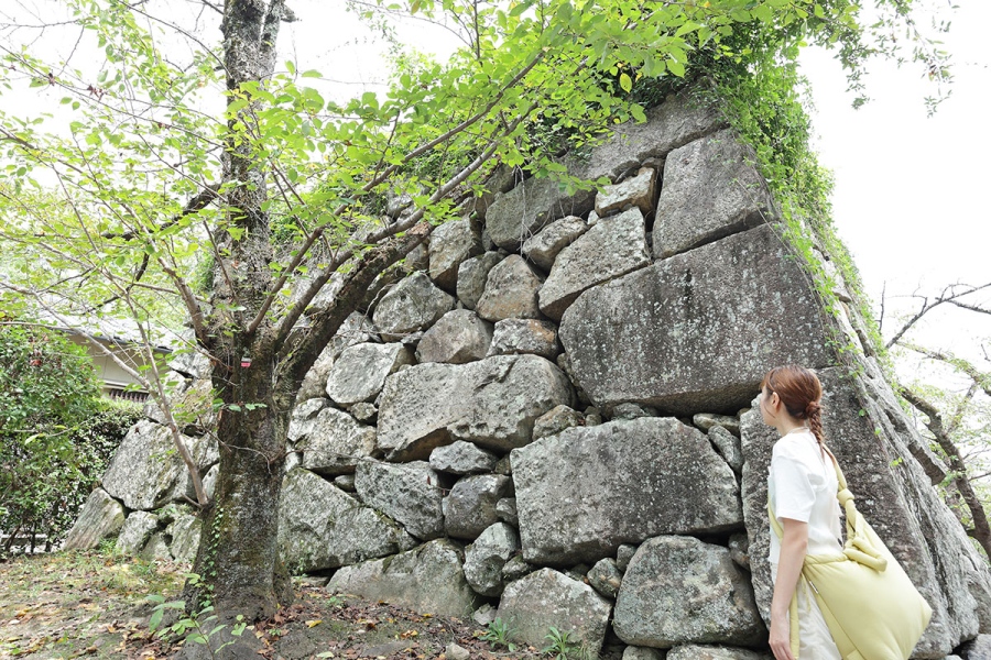 yamatokoriyama_202609_18 | Lmaga.jp 「郡山城跡」に入ってすぐ、巨大な石垣が現れる