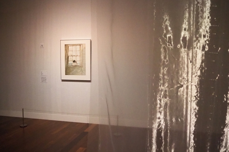 Wyeth2026_1005_2 | Lmaga.jp アンドリュー・ワイエス『ヒトデ』1986年 フィルブルック美術館、タルサ(Lmaga.jp撮影)