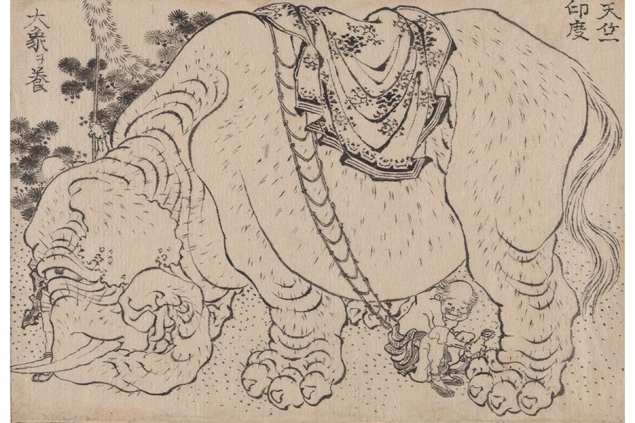 daiei2026_1021_1 | Lmaga.jp 葛飾北斎《『万物絵本大全』版下絵「天竺・印度 大象ヲ養」》1820–1849 年頃 大英博物館蔵 (C)The Trustees of the British Museum