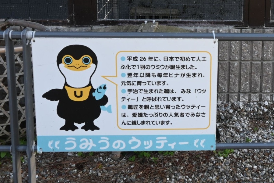ujiukai10 | Lmaga.jp
