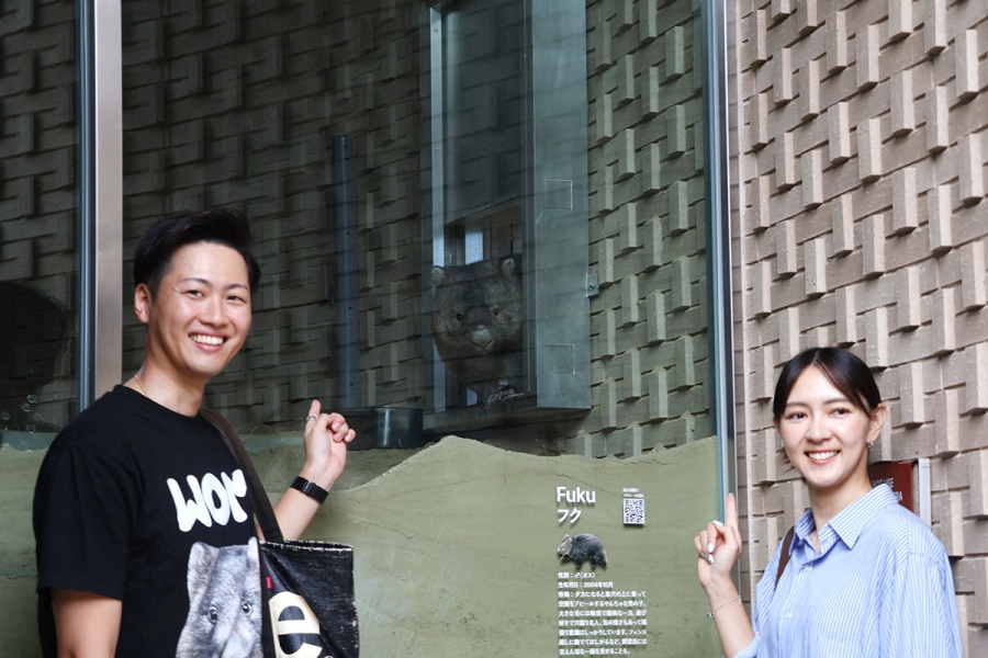 wombat_wedding6 | Lmaga.jp フクちゃんから“祝フク”のカメラ目線サービスも(10月18日撮影、五月山動物園)