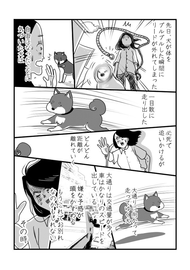 漫画】犬の散歩の思わぬ危険を描いた『柴ドリルでリードが外れた話』神